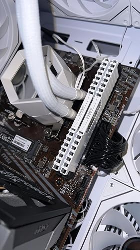 Corsair Vengeance LPX 32GB (2x16GB) DDR4 Up to 3200MHz (PC4-25600